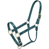 ALMARTIGÓN PREMIUM CABALLO