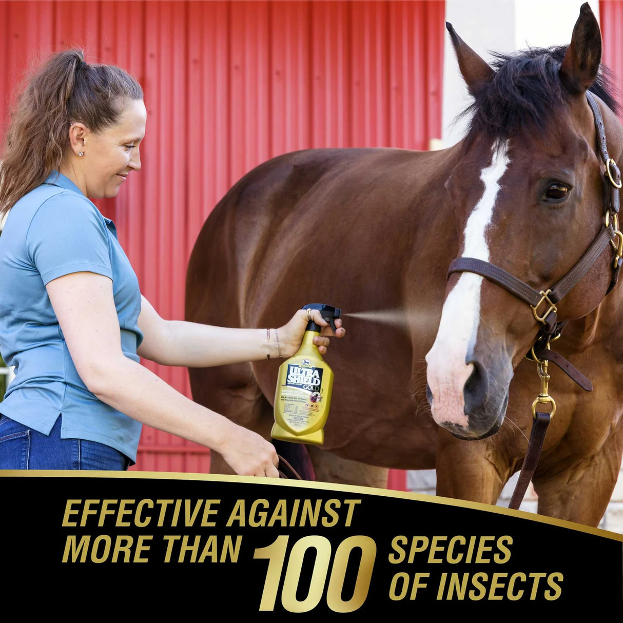 Aplicación de UltraShield Gold sobre un caballo alazán, efectivo contra más de 100 especies de insectos