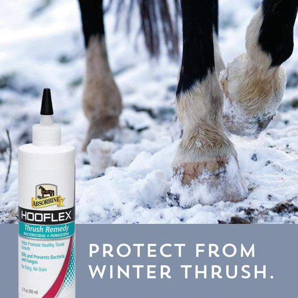 Cascos de caballo sobre nieve, Hooflex Thrush Remedy protege de la ranilla podrida en invierno