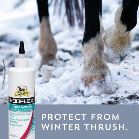 Cascos de caballo sobre nieve, Hooflex Thrush Remedy protege de la ranilla podrida en invierno