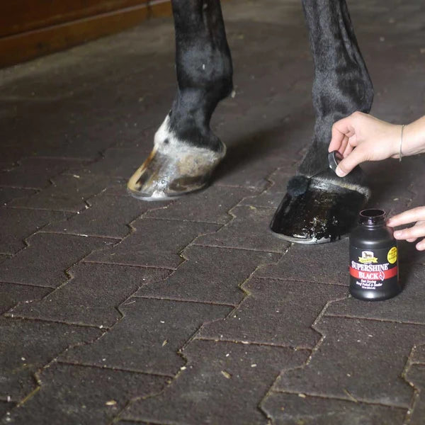 Aplicación de SuperShine sobre la pared del casco de un caballo para dar acabado de exhibición