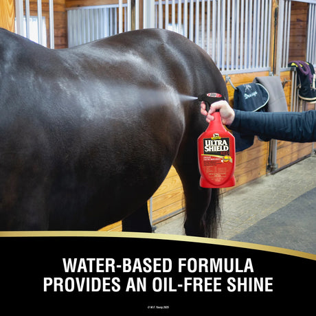 Caballo negro en caballeriza, la fórmula a base de agua de UltraShield Rojo deja brillo sin sensación grasosa