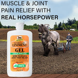 Caballos de tiro y el tubo de gel, alivio del dolor muscular y articular del Linimento Veterinario Absorbine