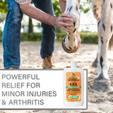 Aplicación del Linimento Veterinario Gel Absorbine, alivio para lesiones menores y artritis