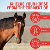 Dos caballos juntos, UltraShield Rojo protege al caballo del tormento de las moscas