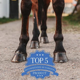 Las cuatro patas de un caballo en pie, Magic Cushion entre los cinco productos más recomendados