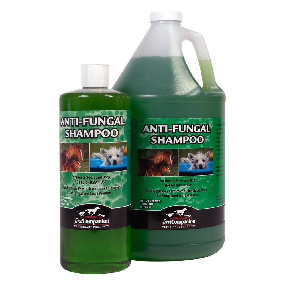 ANTI FUNGAL SHAMPOO FIRST COMPANION
