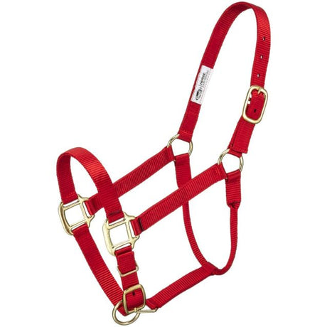 ALMARTIGÓN PREMIUM CABALLO