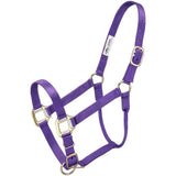 ALMARTIGÓN PREMIUM CABALLO
