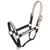 ALMARTIGÓN CON CORONA SEPARABLE TAMAÑO PROMEDIO