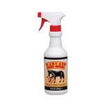 RAPLAST WITH SPRAYER (SPRAY NATURAL DISUASORIO DE MASTICACIÓN)