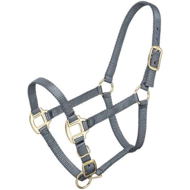 ALMARTIGÓN PREMIUM CABALLO