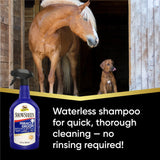 Cabeza de caballo, Miracle Groom es un champú sin agua para limpieza rápida y a fondo sin enjuague