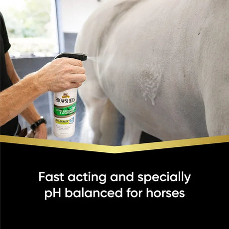 Aplicación de ShowSheen quitamanchas sobre un caballo tordo, fórmula de acción rápida con pH balanceado para caballos