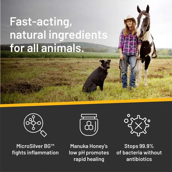 Ingredientes naturales de acción rápida del champú Silver Honey, seguros para todos los animales