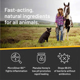 Ingredientes naturales de acción rápida del champú Silver Honey, seguros para todos los animales