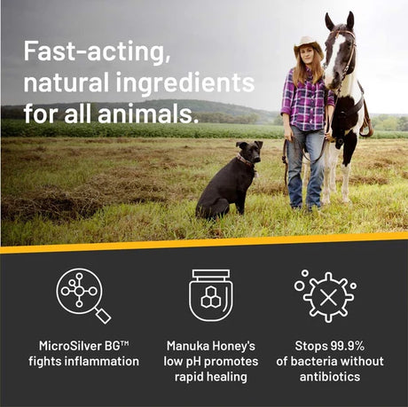 Ingredientes naturales de acción rápida del champú Silver Honey, seguros para todos los animales