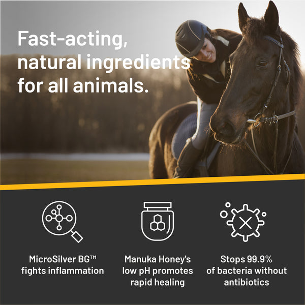 Ingredientes naturales de acción rápida de Silver Honey, seguros para todos los animales