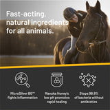 Ingredientes naturales de acción rápida de Silver Honey, seguros para todos los animales