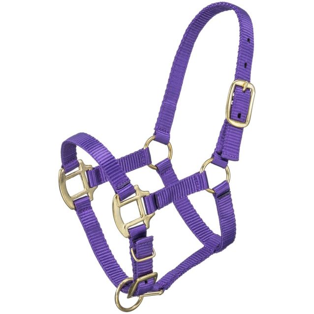 ALMARTIGÓN PREMIUM CABALLO