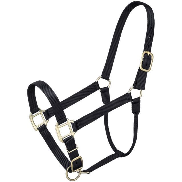 ALMARTIGÓN PREMIUM CABALLO
