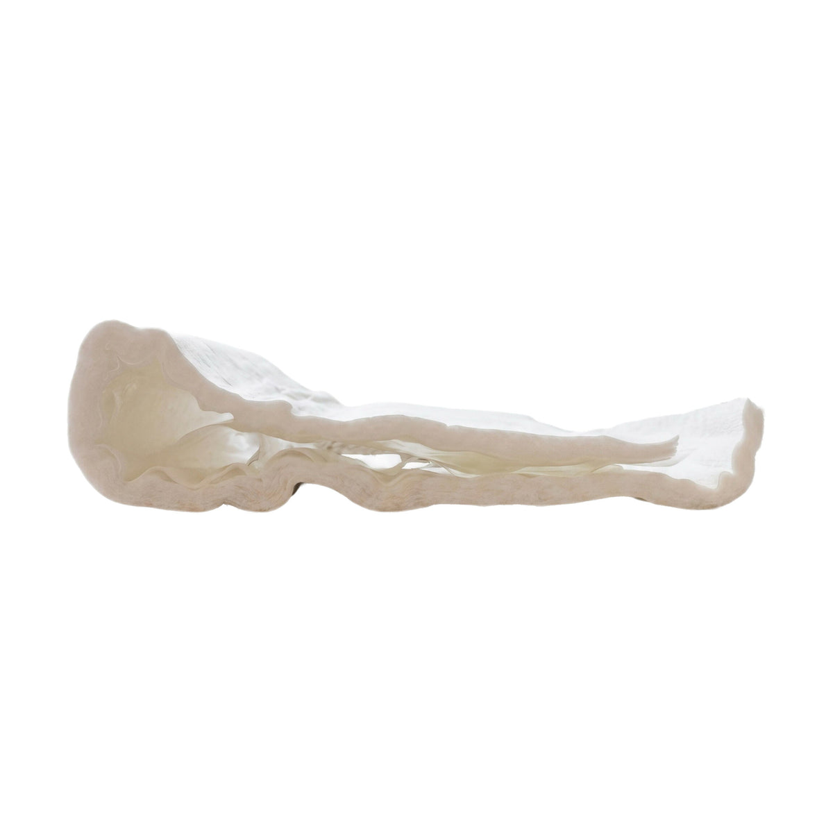ANIMALINTEX CATAPLASMA PARA CASCOS (ALMOADILLA DE 8" x 16")