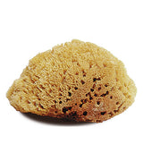 JACKS NATURAL TACK SPONGE