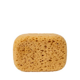 BODY SPONGE DECKER 6-1/4" (ESPONJA PARA EL CUERPO DE 6-1/4")