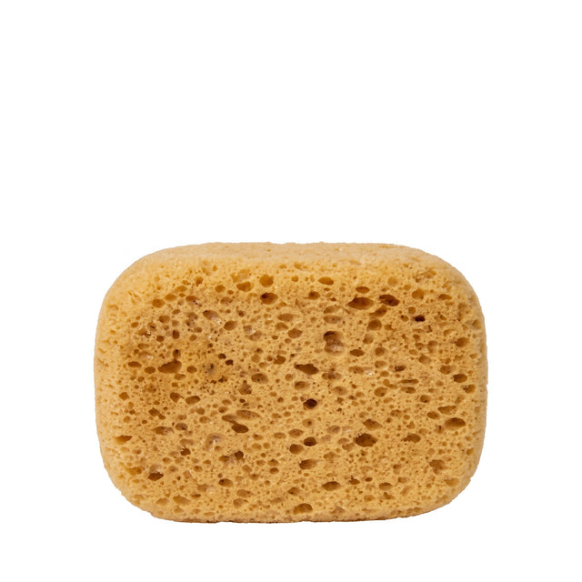 BODY SPONGE DECKER 6-1/4" (ESPONJA PARA EL CUERPO DE 6-1/4")