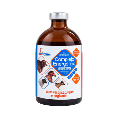 COMPLEJO ENERGETICO CHEMINOVA
