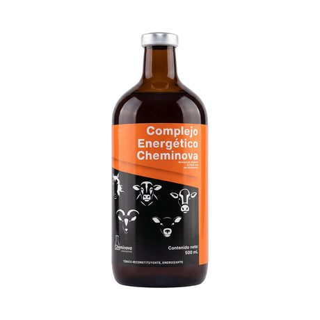COMPLEJO ENERGETICO CHEMINOVA