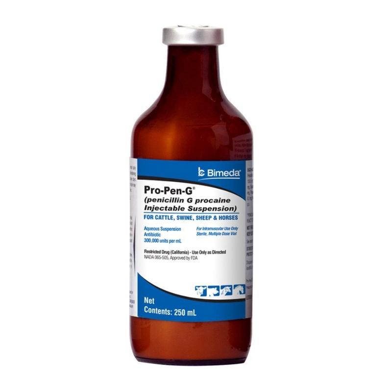 PRO-PEN-G (PENICILINA G PROCAINICA SUSPENSION INYECTABLE)