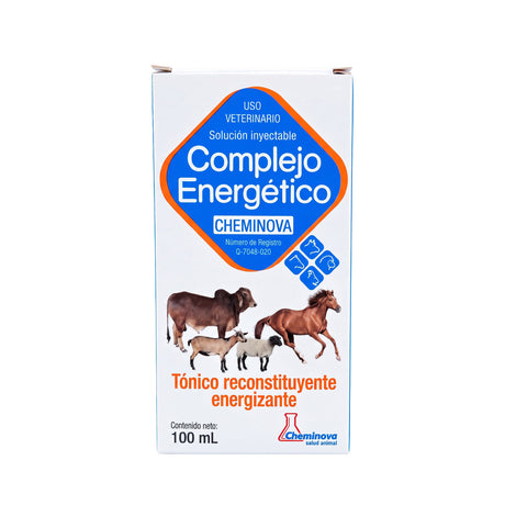 COMPLEJO ENERGETICO CHEMINOVA