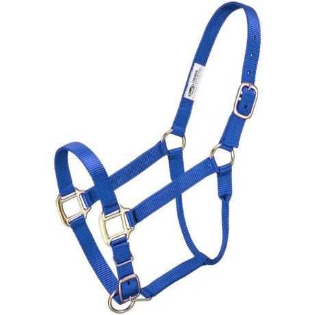 ALMARTIGÓN PREMIUM CABALLO