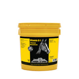 VITAMIN B-1 BLEND (MONONITRATO DE TIAMINA)