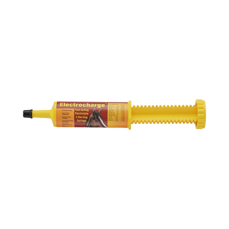ELECTROCHARGE (ELECTROLITOS EN PASTA) TUBO CON 60 CC