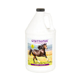 GASTROADE (GALON)