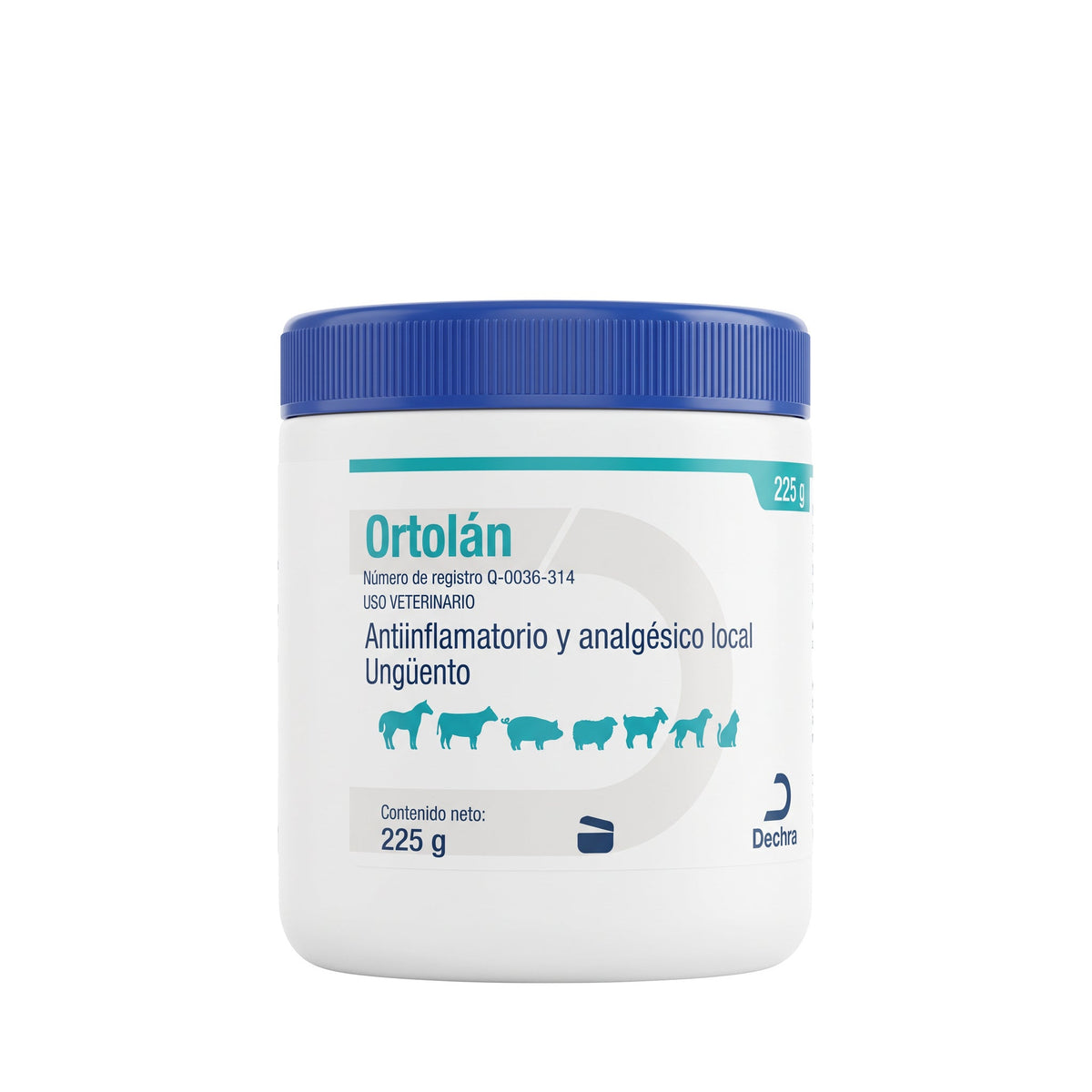 ORTOLAN