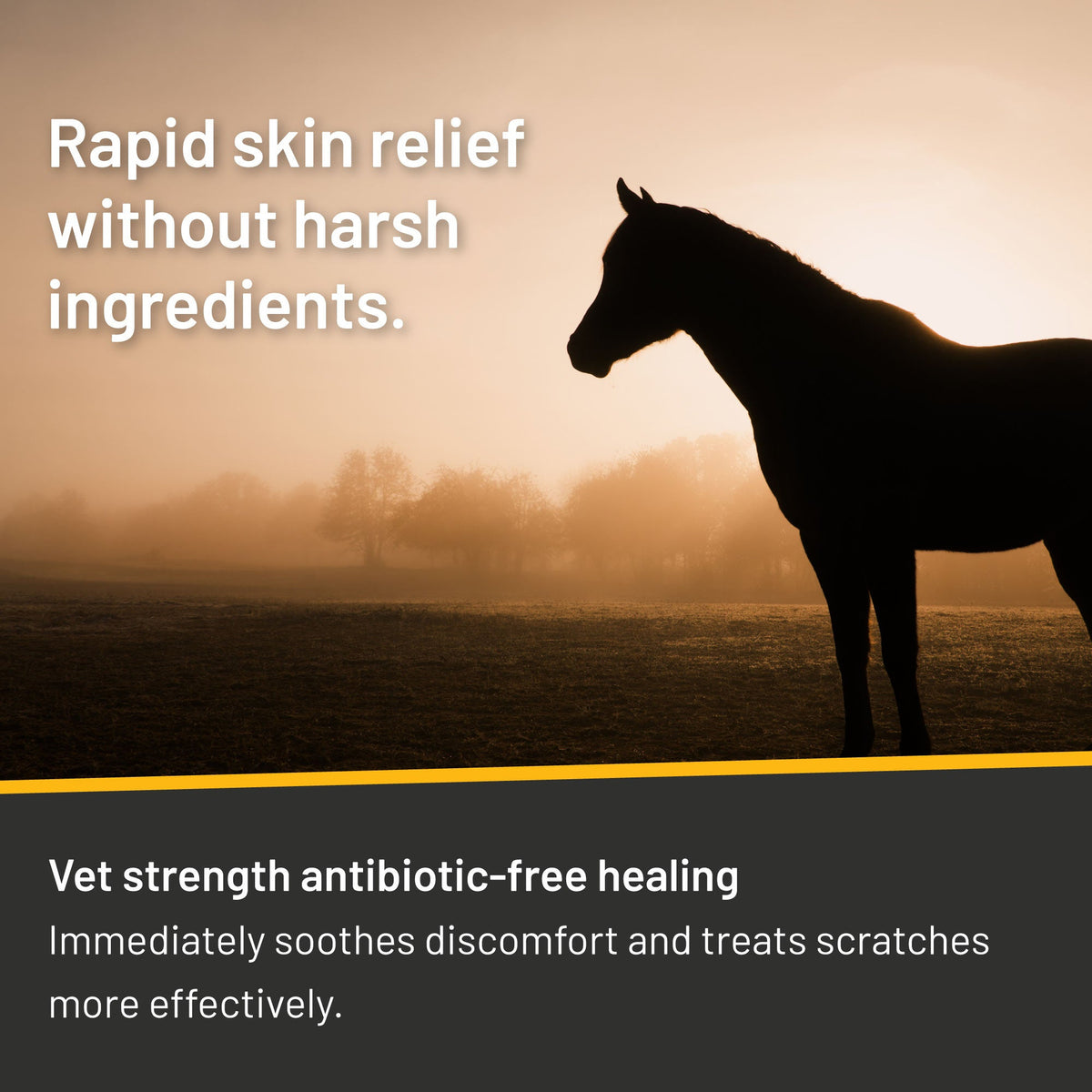 SILVER HONEY VET STRENGTH SCRATCHES SPRAY ABSORBINE (6 OZ) (COMEZON)