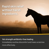 SILVER HONEY VET STRENGTH SCRATCHES SPRAY ABSORBINE (6 OZ) (COMEZON)