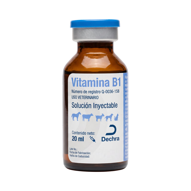 VITAMINA B1 (TIAMINA) 100 mg/ml 20 ML (DECHRA)