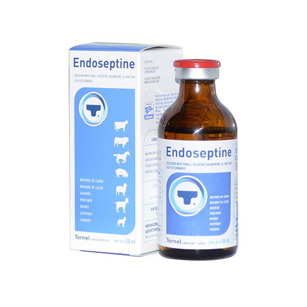 ENDOSEPTINE 50 ML