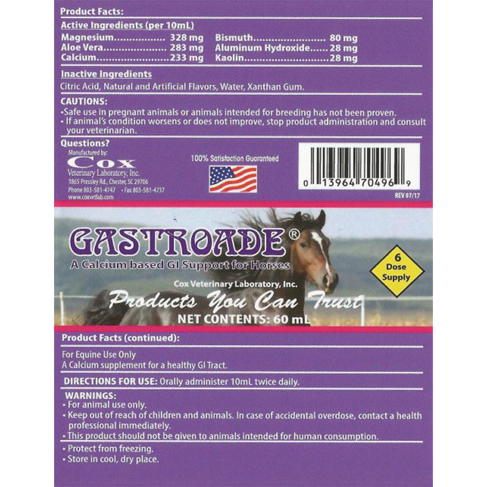 GASTROADE PASTA EN TUBOS 60 ML