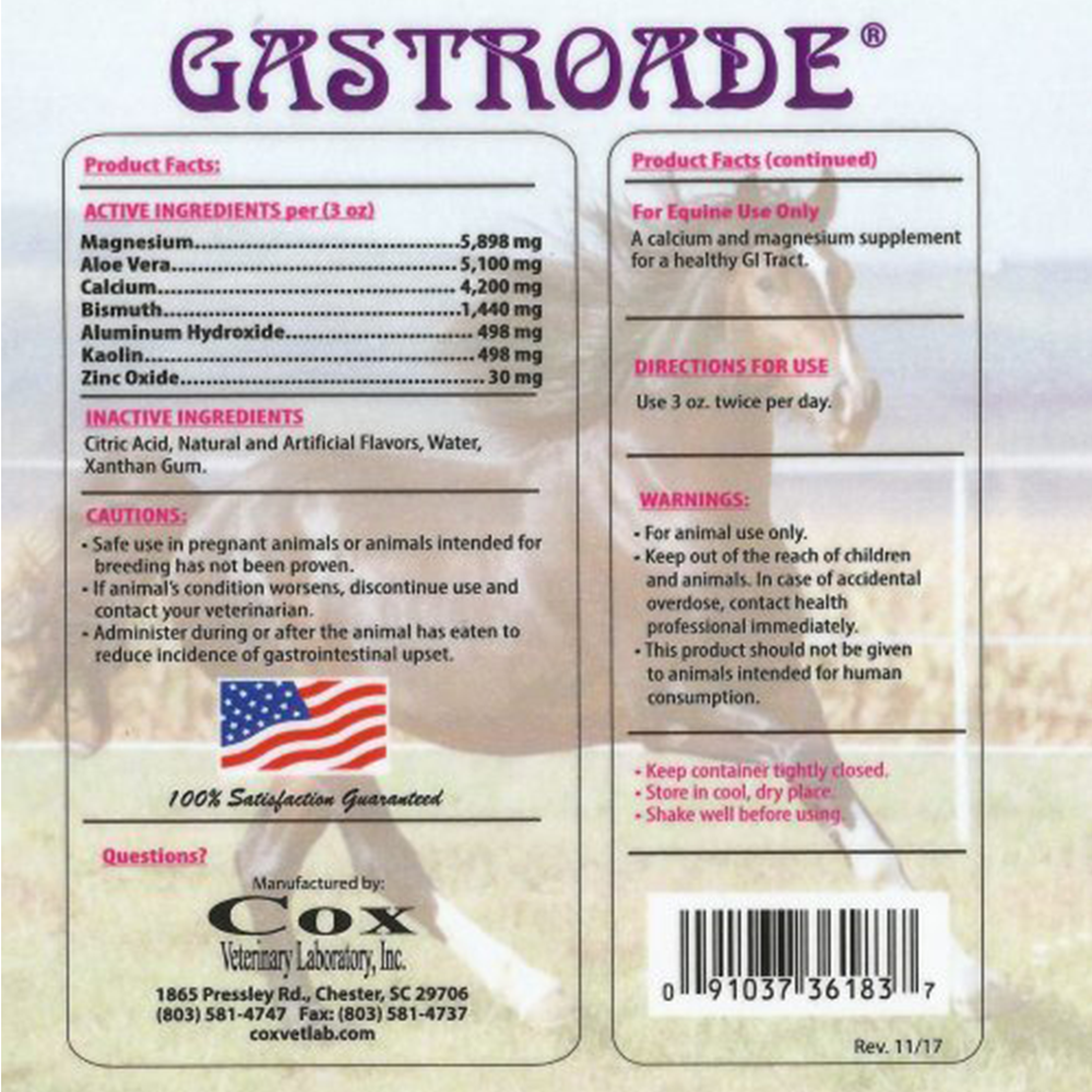GASTROADE (GALON)