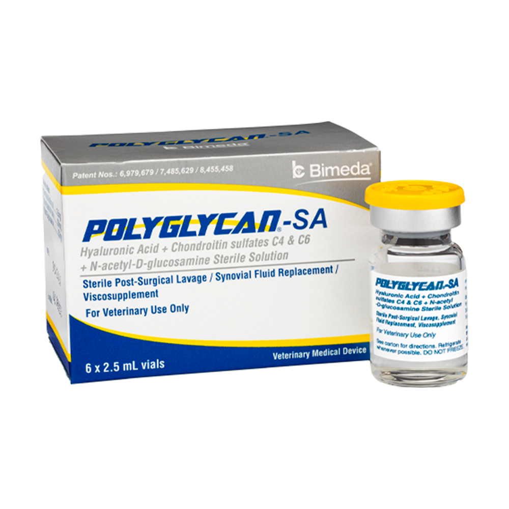POLYGLYCAN 2.5 ML (12.5 mg HA/250 mg Condritina/250 mg Glucosamina) (RX)
