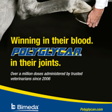 POLYGLYCAN 2.5 ML (12.5 mg HA/250 mg Condritina/250 mg Glucosamina) (RX)