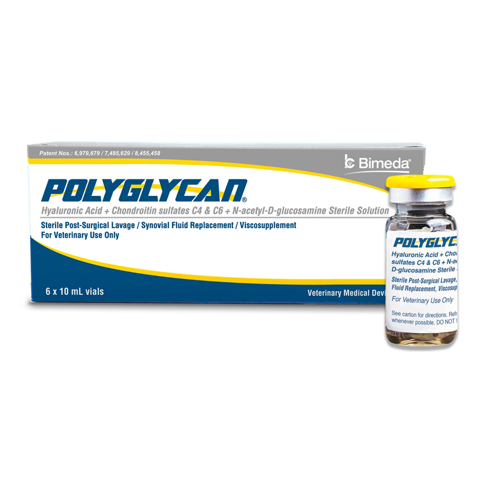 POLYGLYCAN 10 ML (50 mg HA/1000 mg Condritina/1000 mg Glucosamina) (RX