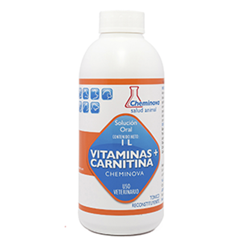 VITAMINAS + CARNITINA 1 LITRO