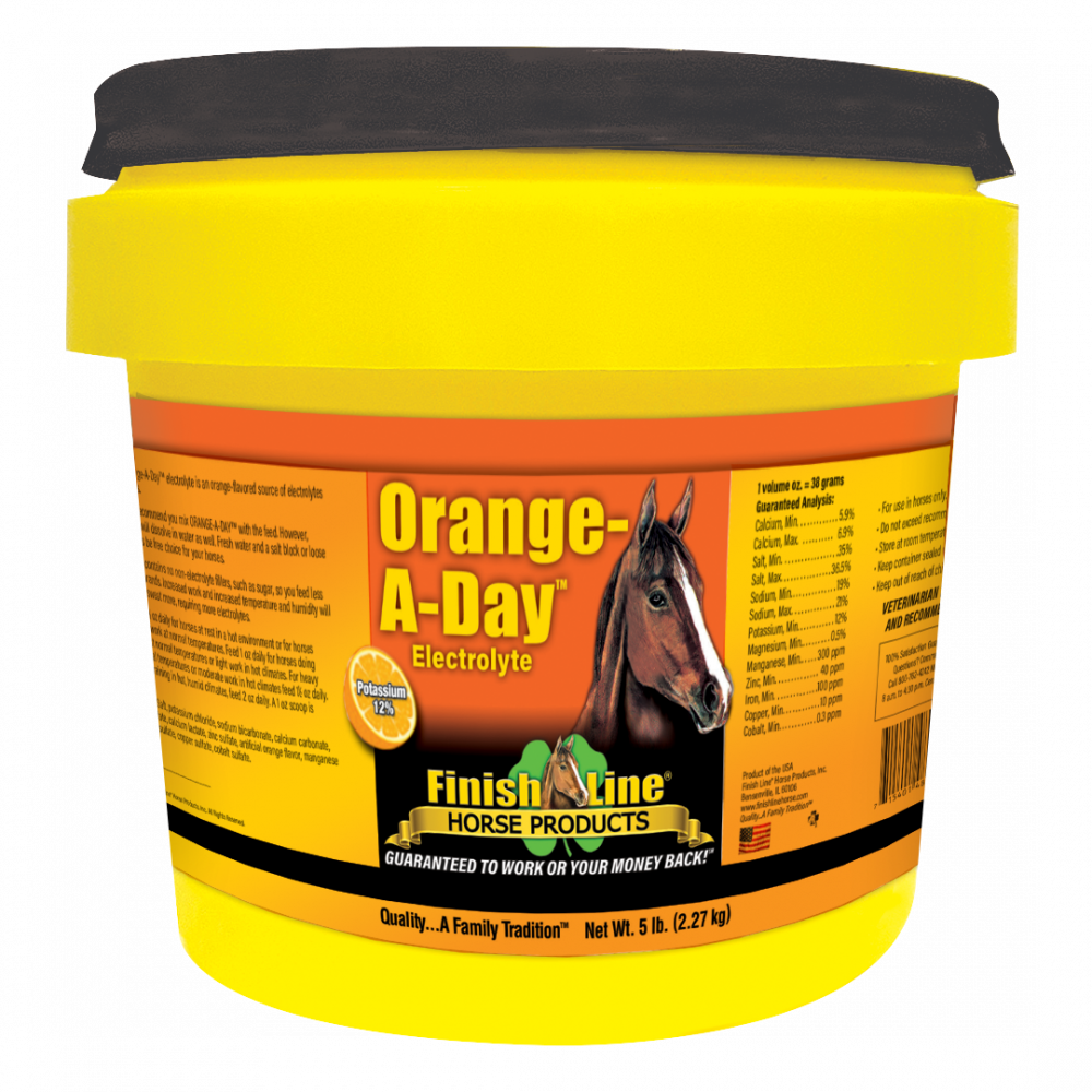 ORANGE-A-DAY NO SUGAR ELECTROLYTE 5 LBS