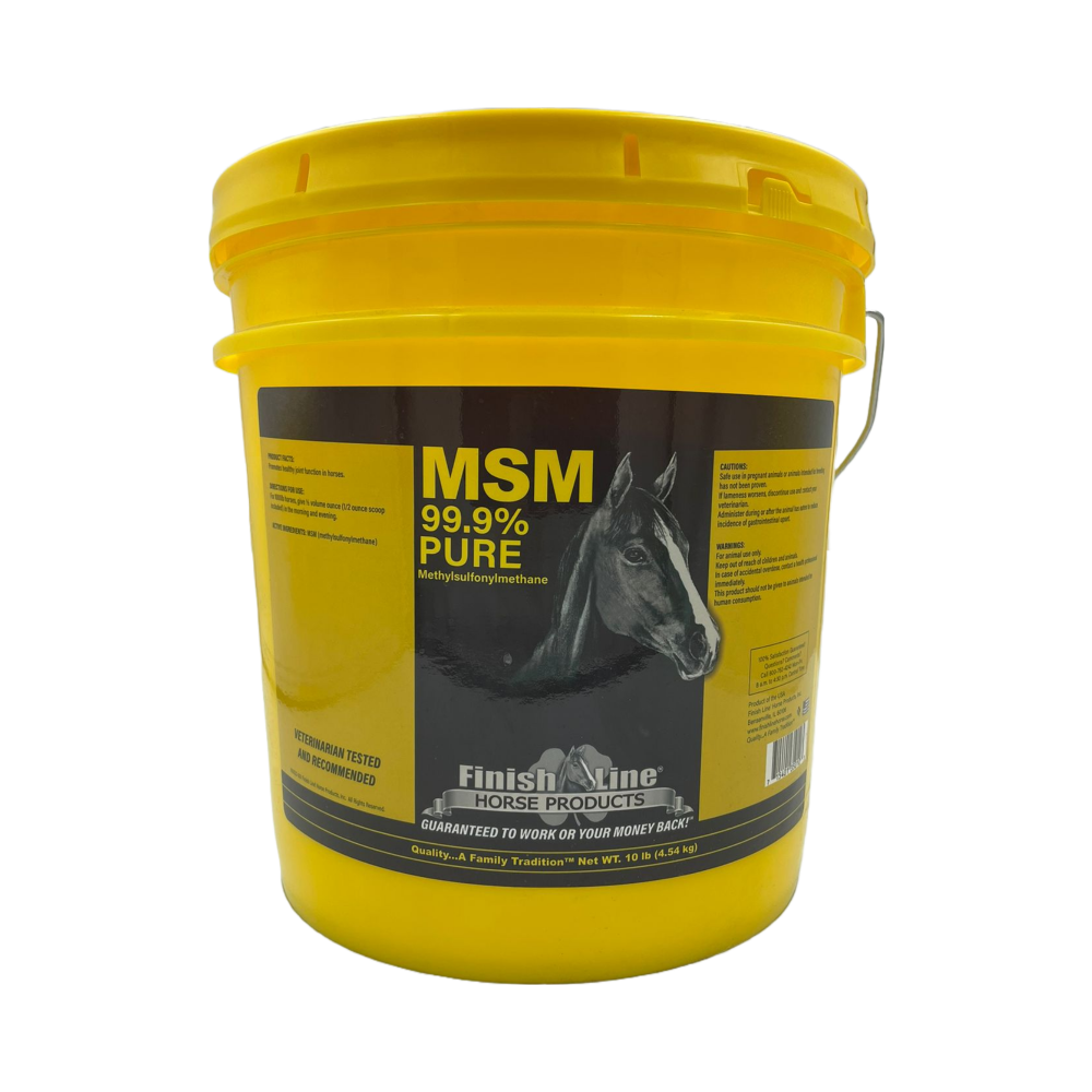 MSM 99.9 PURE 10 LB